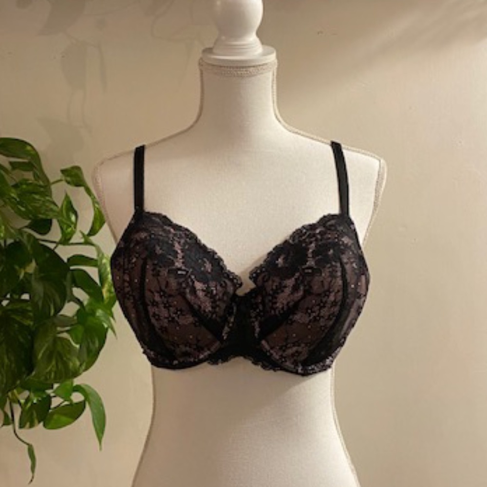 Victoria's Secret Lace Dream Angels Lined Demi